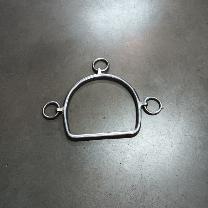 chifney bit and headpiece