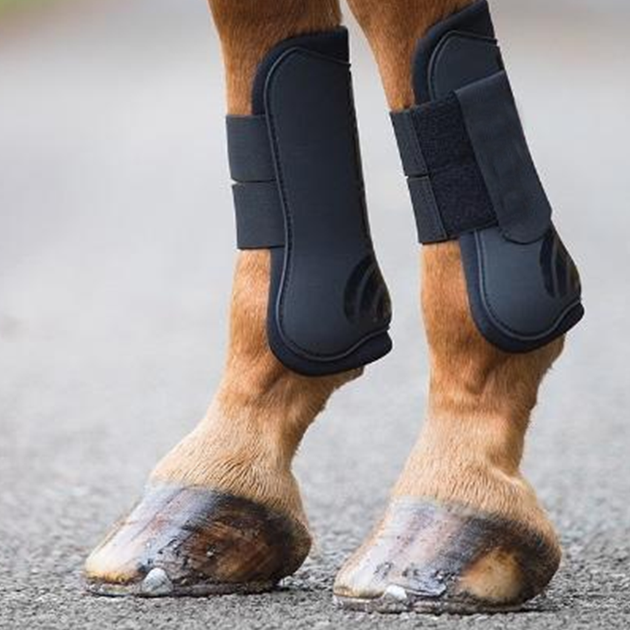 Type: Horse Boots & Bandages – Riders Saddlery