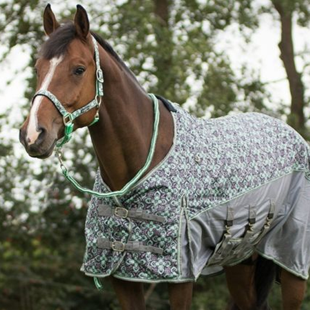 Type: Rugs, Sheets & Accessories – Riders Saddlery